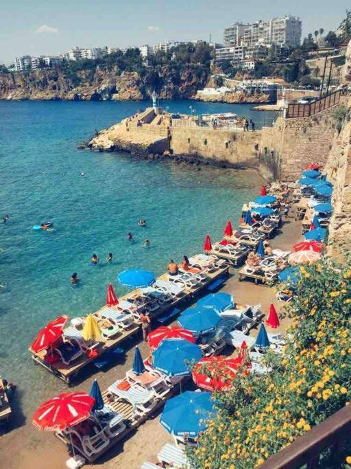 Daire Pasha - Floor Antalya