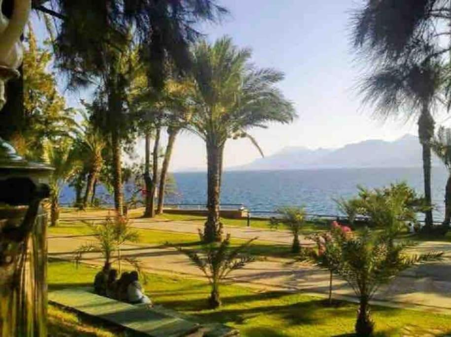 Pasha - Floor Antalya